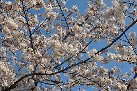 event_20150330-1
